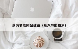 安岳蒸汽节能网站建设（蒸汽节能技术）