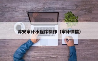 安岳淳安审计小程序制作（审计微信）